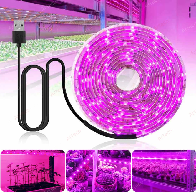 Serre et lampe de croissance