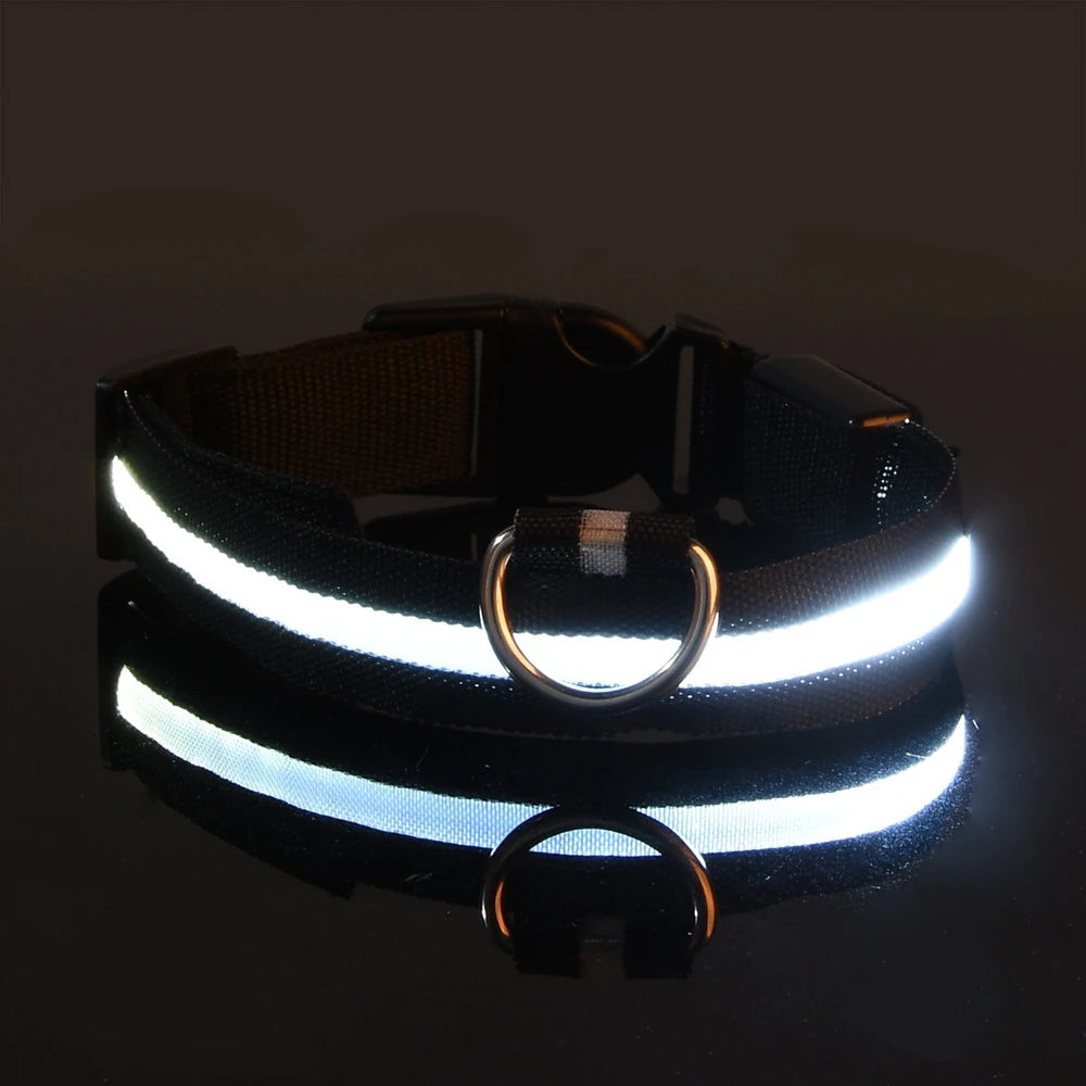 Laisse Nylon LED Sécurisée pour Chien Nocturne