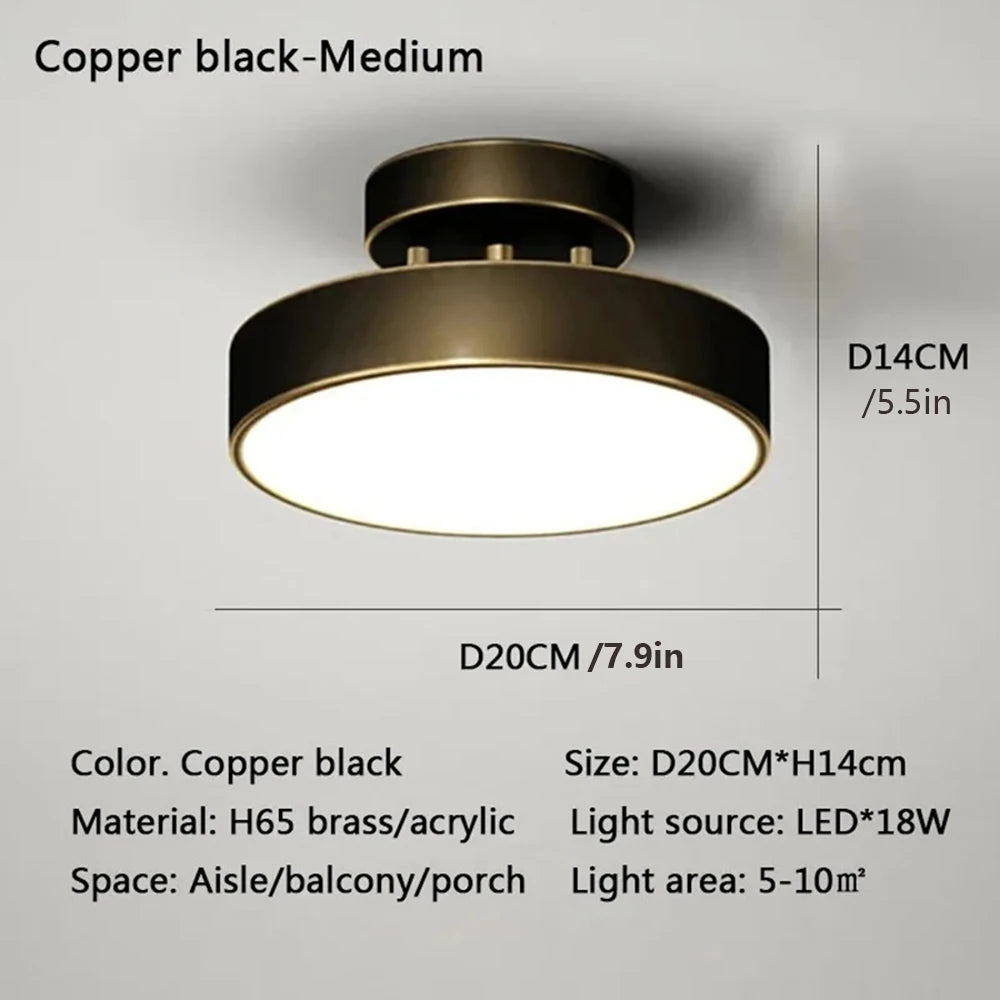 LuxNoir LED Ceiling Light - Modern Home Illumination