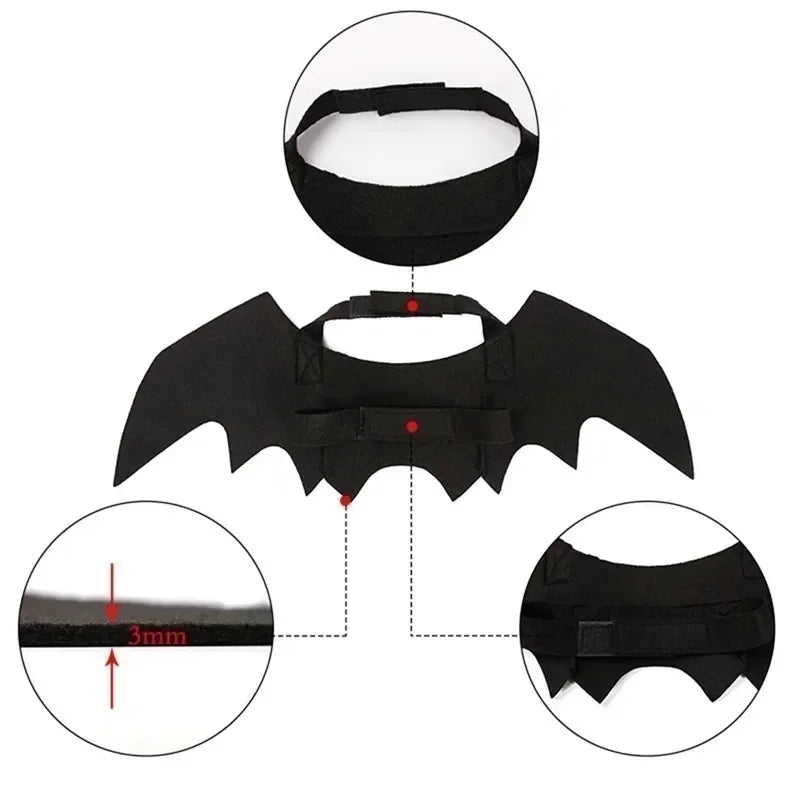 Costume Chauve-Souris pour Chiens