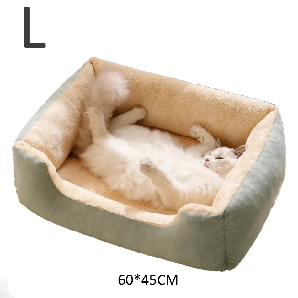 Coussin Douillet pour Chats