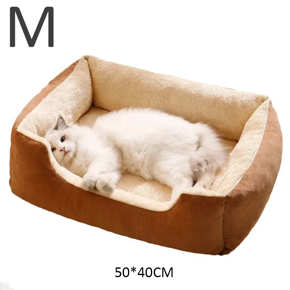 Coussin Douillet pour Chats