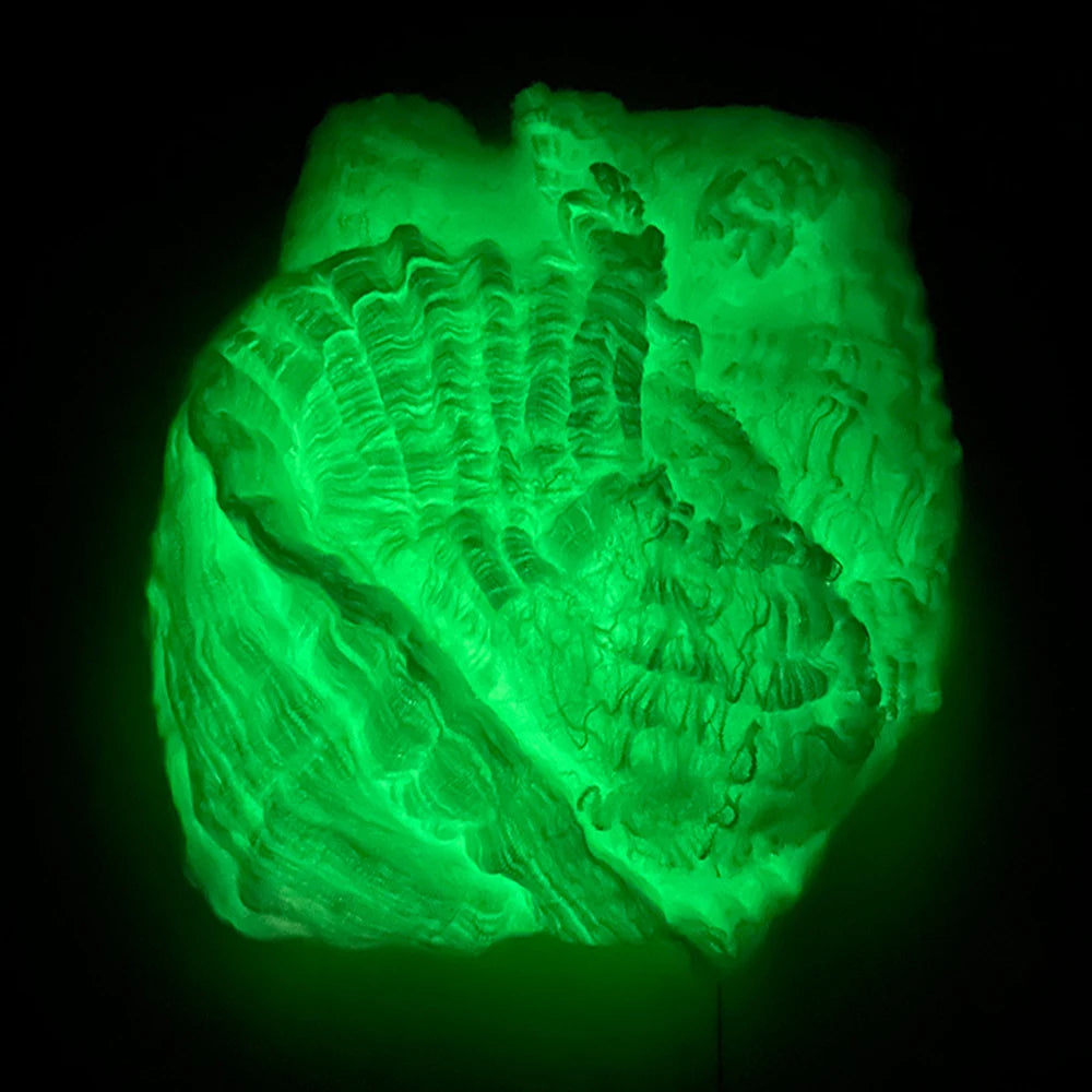 Toile Araignée Fluorescente Halloween Éclat Nocturne