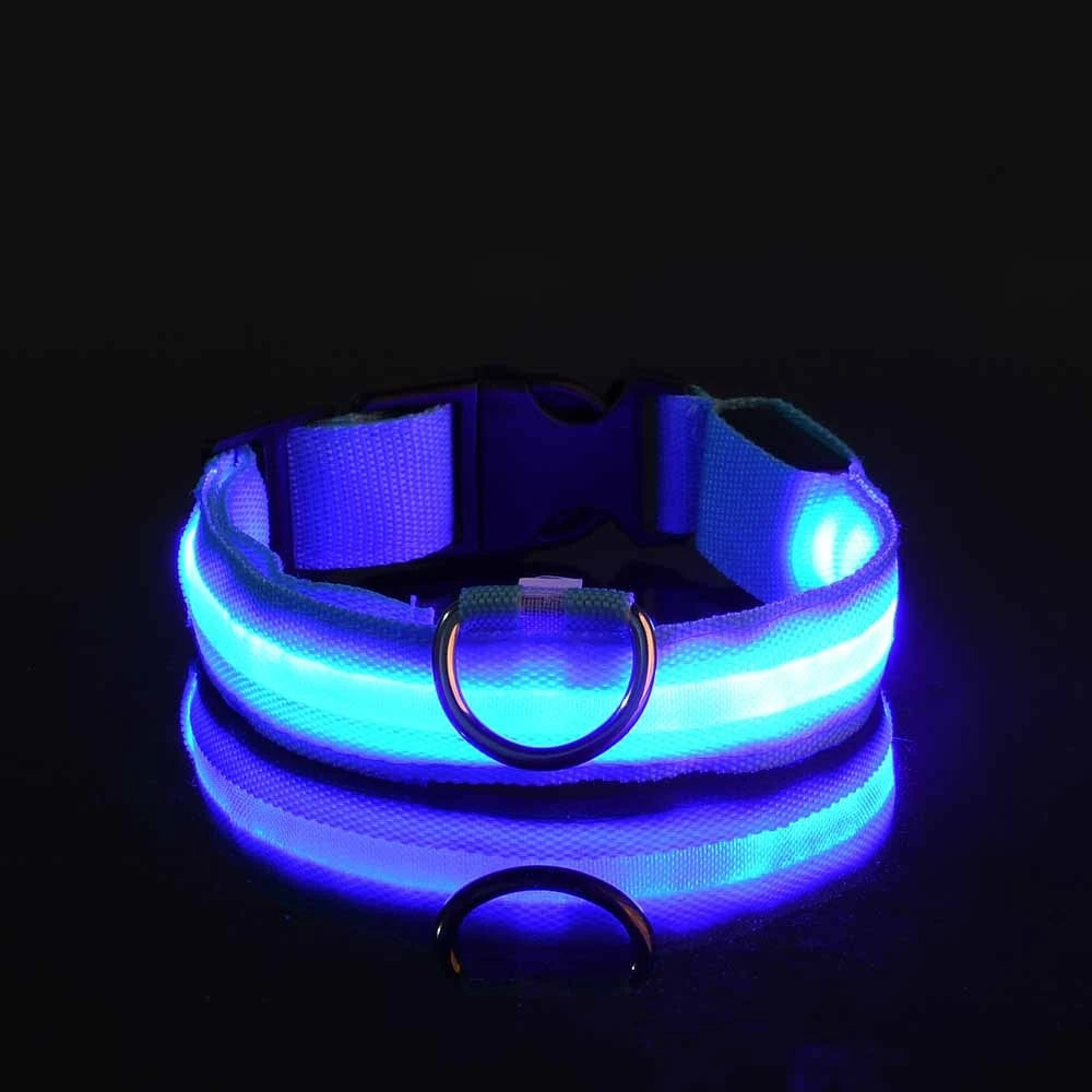 Laisse Nylon LED Sécurisée pour Chien Nocturne