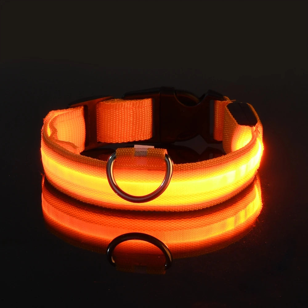Laisse Nylon LED Sécurisée pour Chien Nocturne