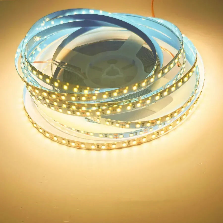 Ruban LED Flexible 120L/m Multicolore