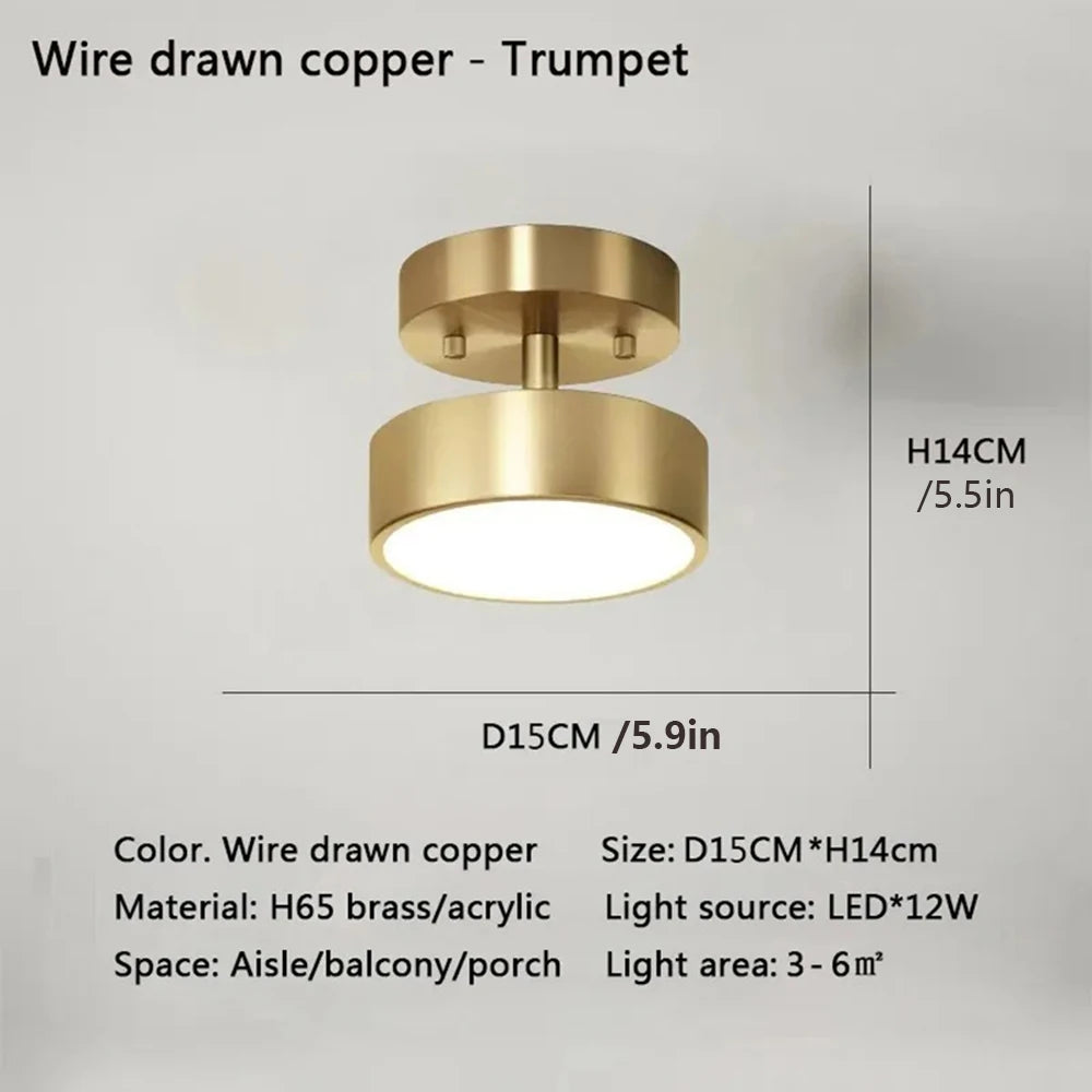 LuxNoir LED Ceiling Light - Modern Home Illumination