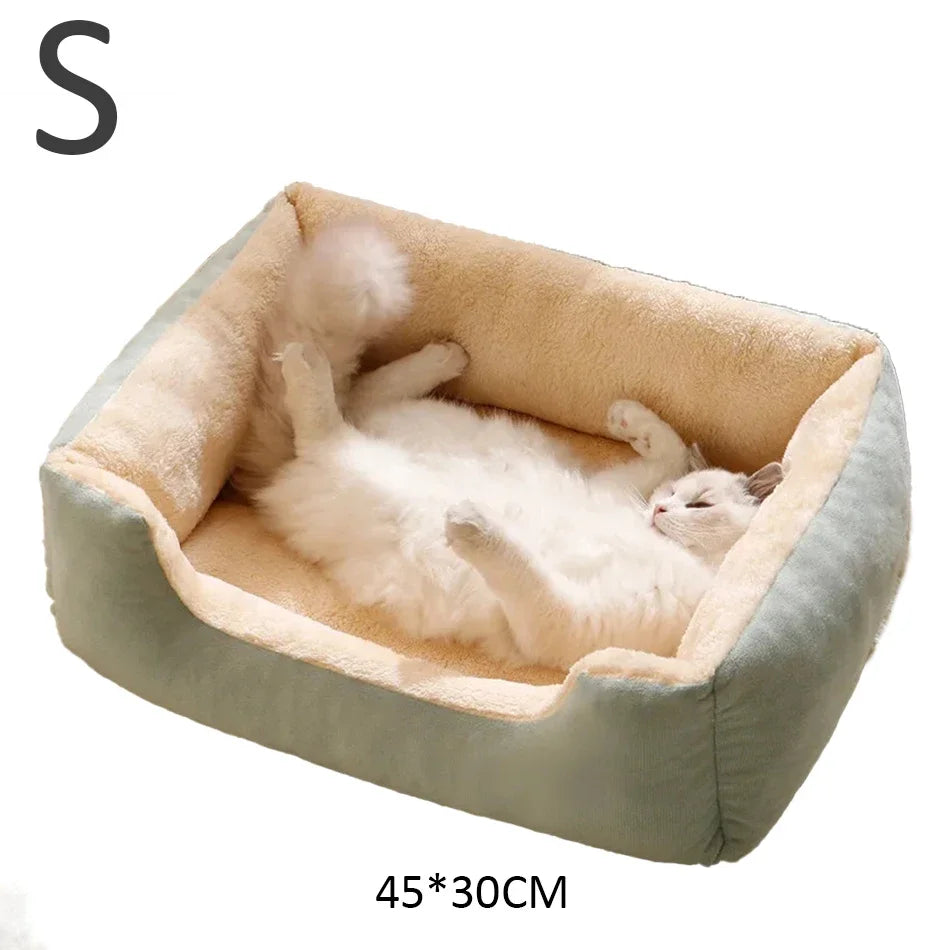 Coussin Douillet pour Chats