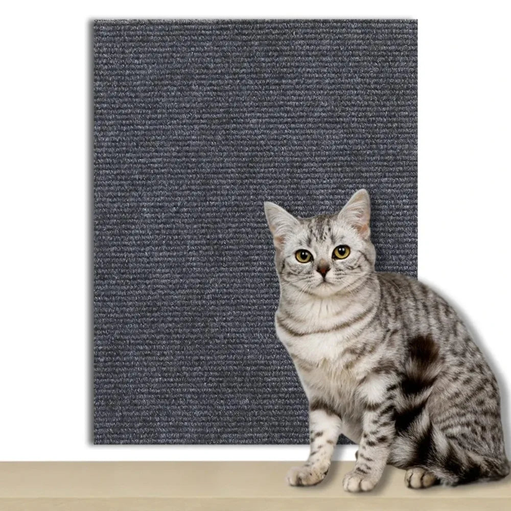 CatGuard: Self-Adhesive Scratch Protector Mat