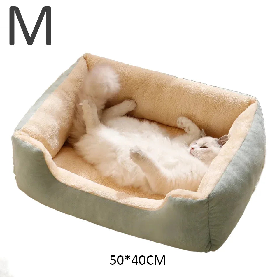 Coussin Douillet pour Chats