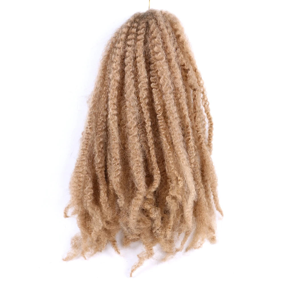 Extensions Tressées Afro 18 Marley