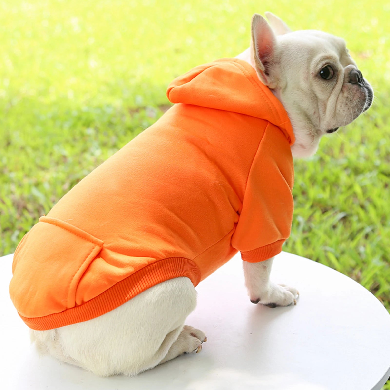 Pull Douillet pour Chiens - Mode Automne/Hiver