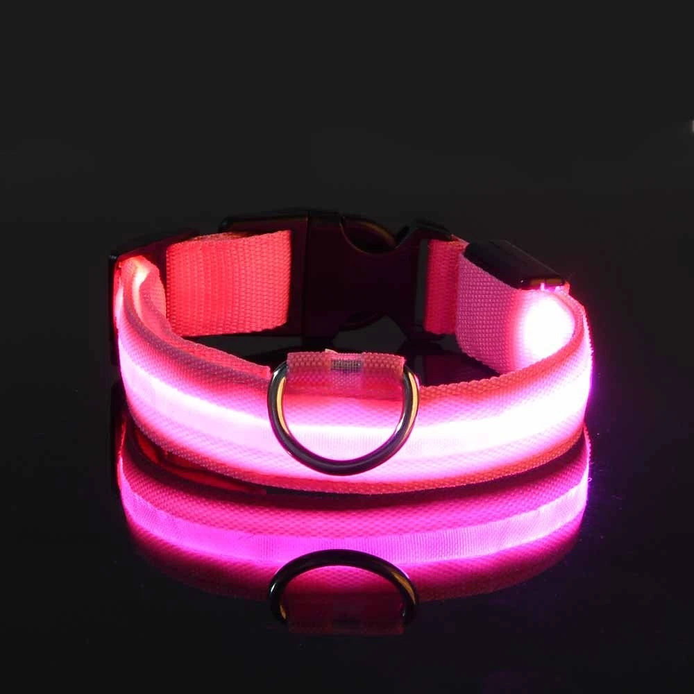 Laisse Nylon LED Sécurisée pour Chien Nocturne