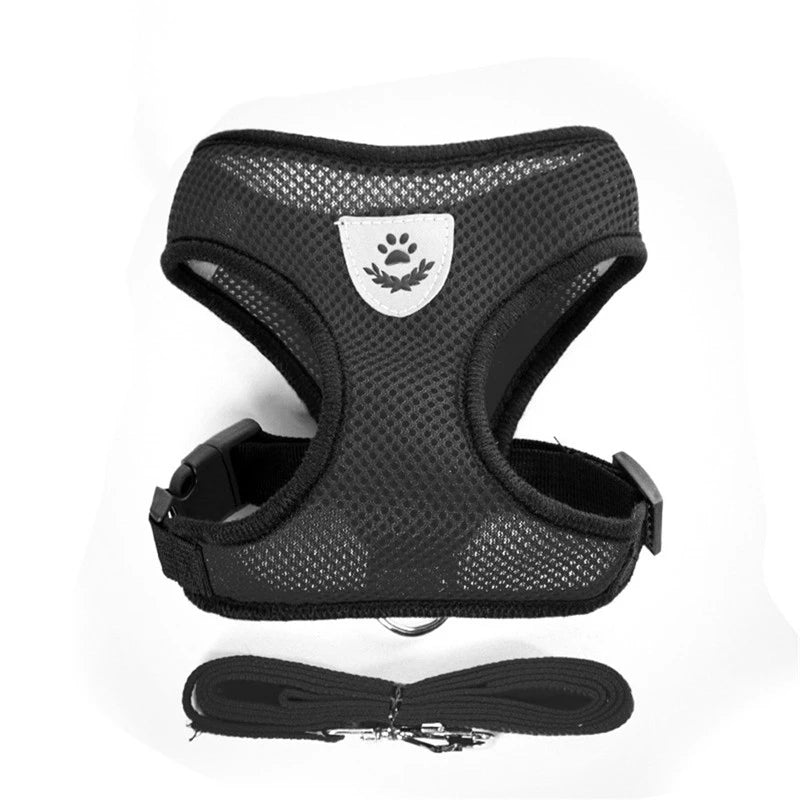 Harnais léger et réglable pour petits chiens et chats.