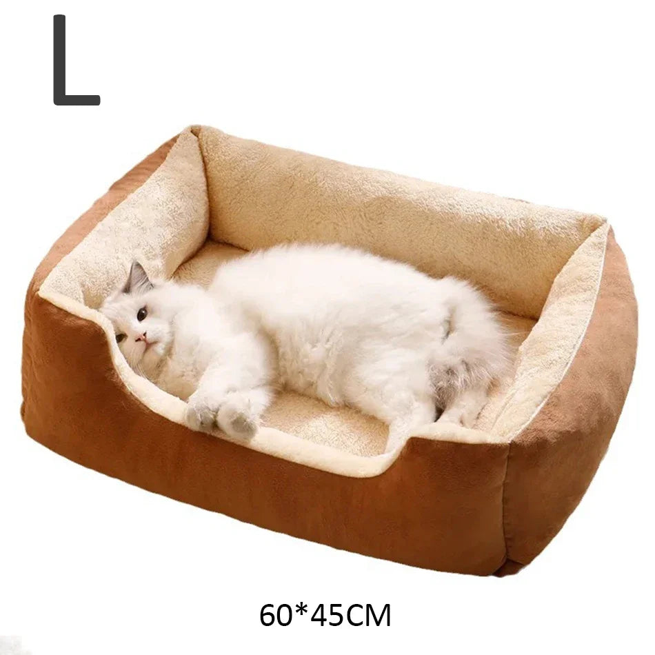 Coussin Douillet pour Chats
