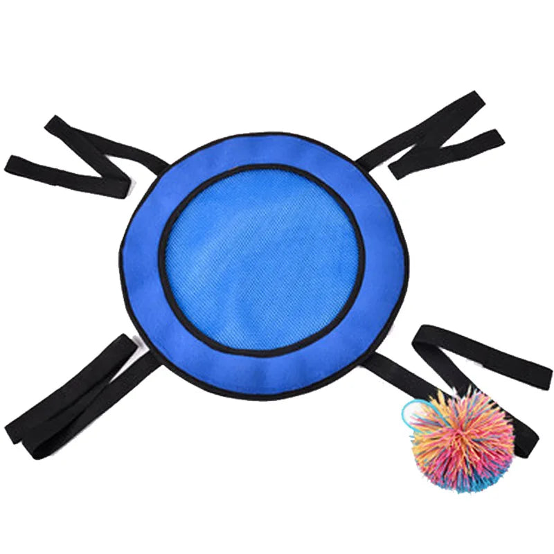 Lance-Balles Fun : Jeu d'Extérieur Enfant & Parent