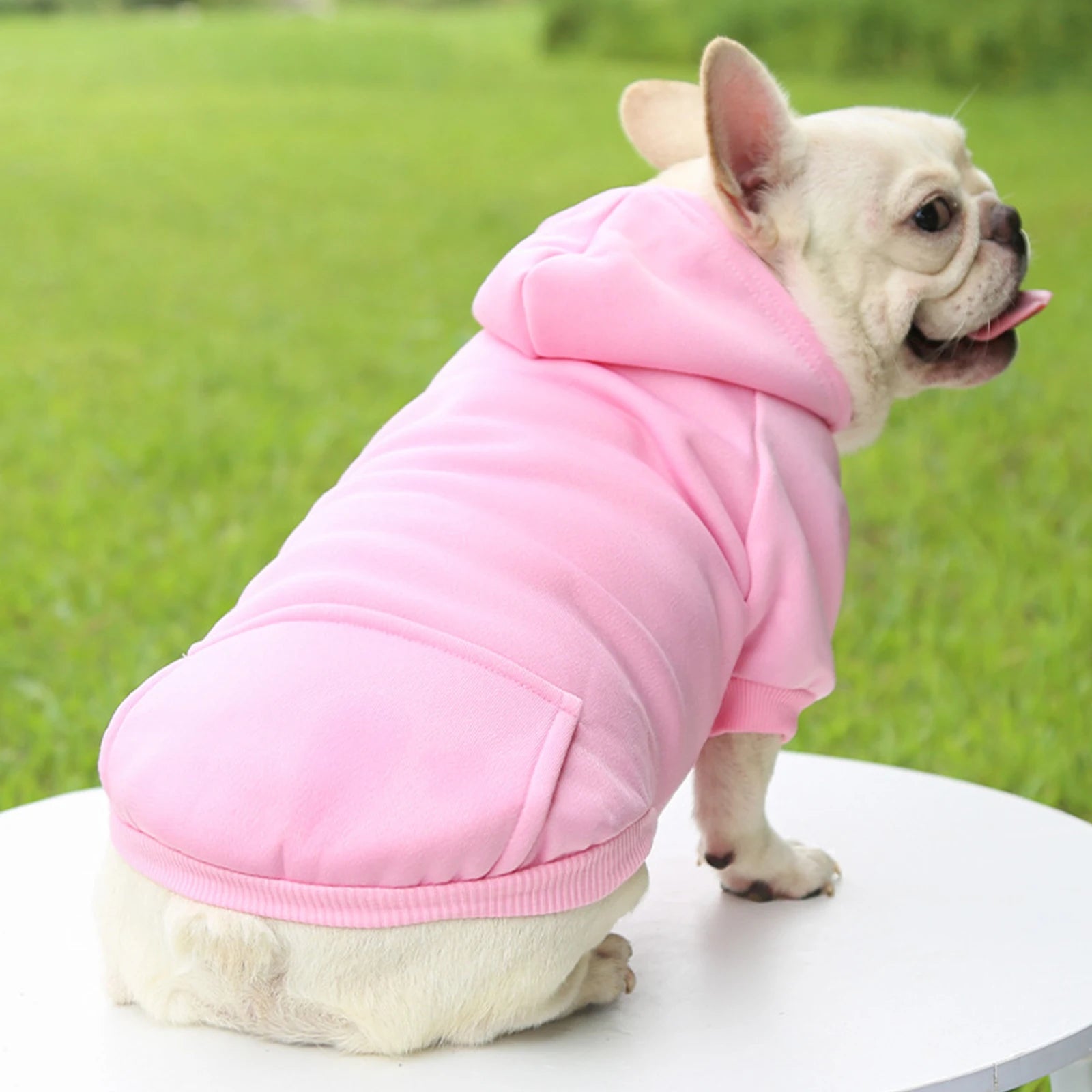 Pull Douillet pour Chiens - Mode Automne/Hiver