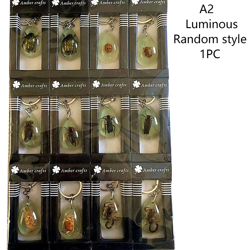 Porte-clés Ambre Insecte: Scorpion & Scarabée Étoilé