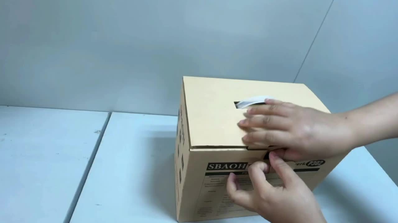 SBAOH Station Énergétique Portable 300W