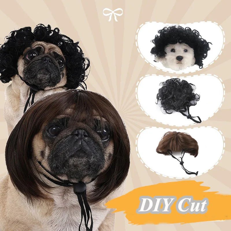Accessoires de perruque pour animaux : Costume amusant de chien et chat - Zone shopping