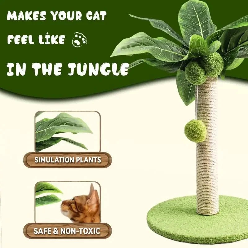 Arbre à Gratter en Sisal Naturel avec Balle en Bois pour Chaton - Zone shopping