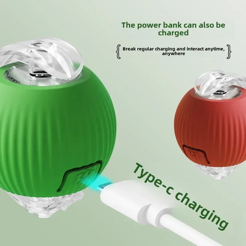 Boule roulante interactive rechargeable pour chiens et chats - Jouet intelligent - Zone shopping