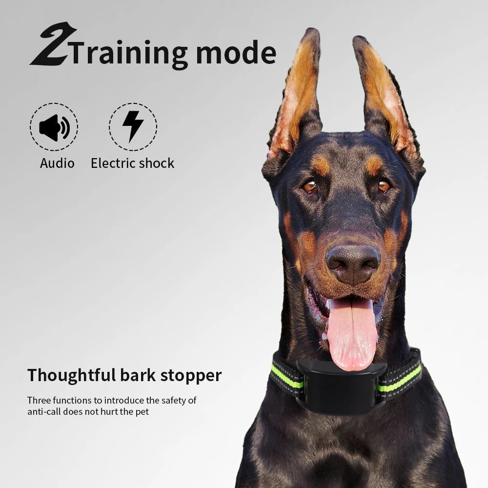 Collier anti - aboiement rechargeable USB pour chien - entraînement efficace - Zone shopping