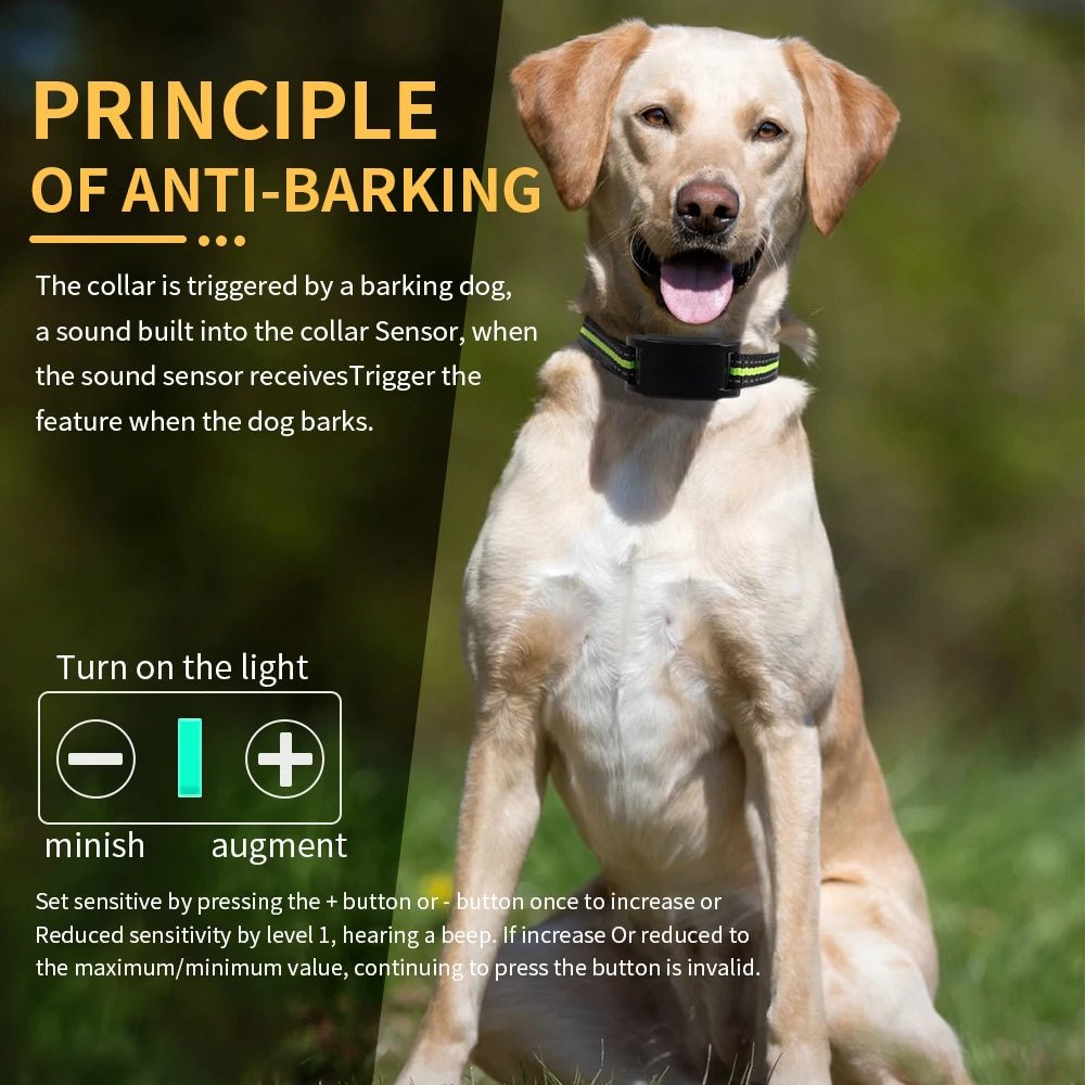 Collier anti - aboiement rechargeable USB pour chien - entraînement efficace - Zone shopping