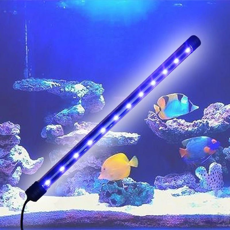 Éclairage Submersible Imperméable pour Aquarium - Lumières à Ventouse - Zone shopping