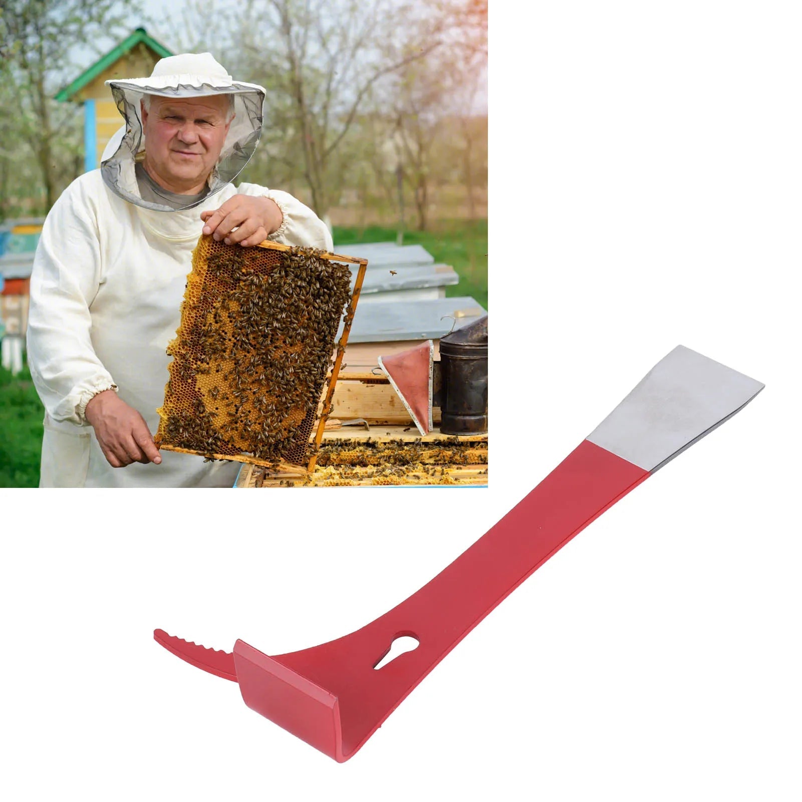 Grattoir flacon miel inox, couteau apiculture, 1 pièce essentielle - Zone shopping