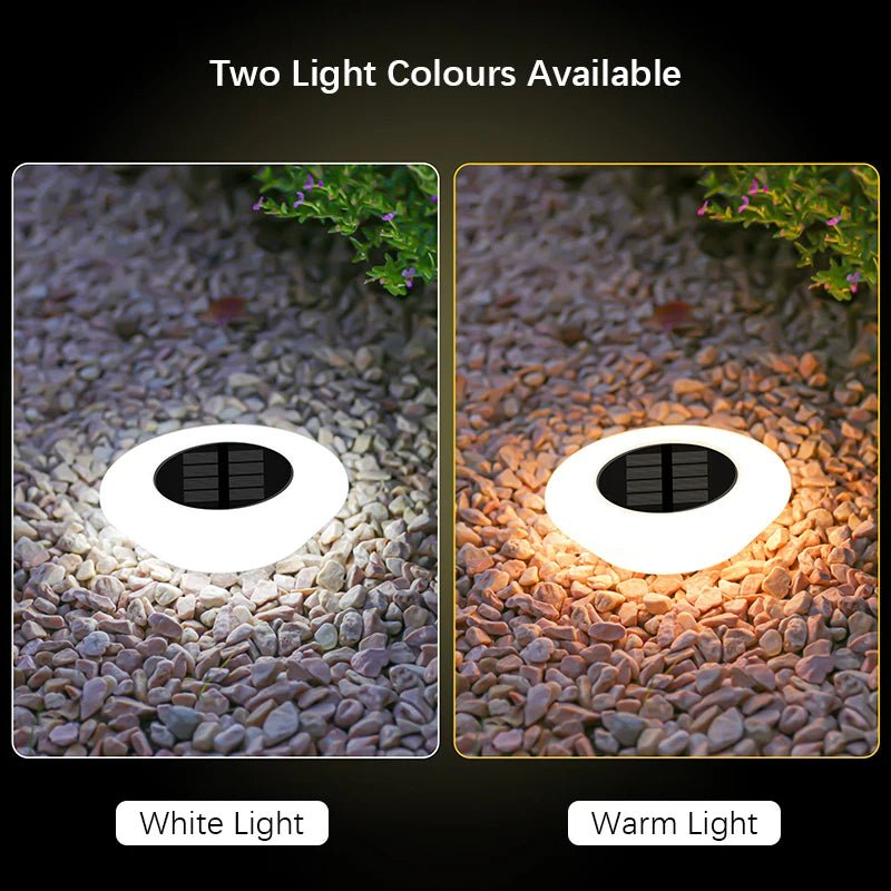 Lumières solaires étanches 14LED pour jardin et extérieur - 1/4 - Zone shopping