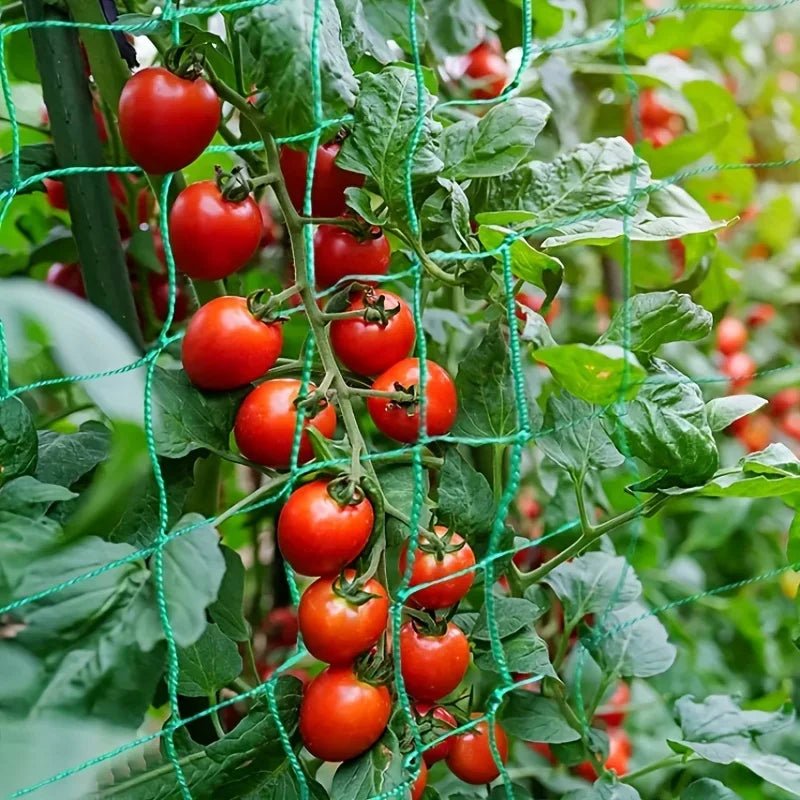 Pergola de treillis robuste en polyester pour plantes grimpantes - Zone shopping