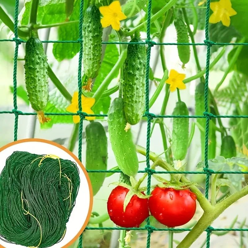 Pergola de treillis robuste en polyester pour plantes grimpantes - Zone shopping