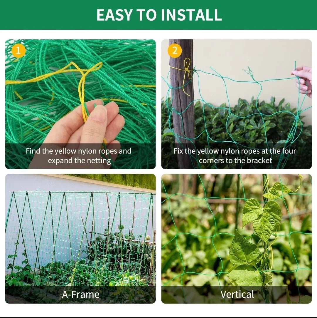 Pergola de treillis robuste en polyester pour plantes grimpantes - Zone shopping
