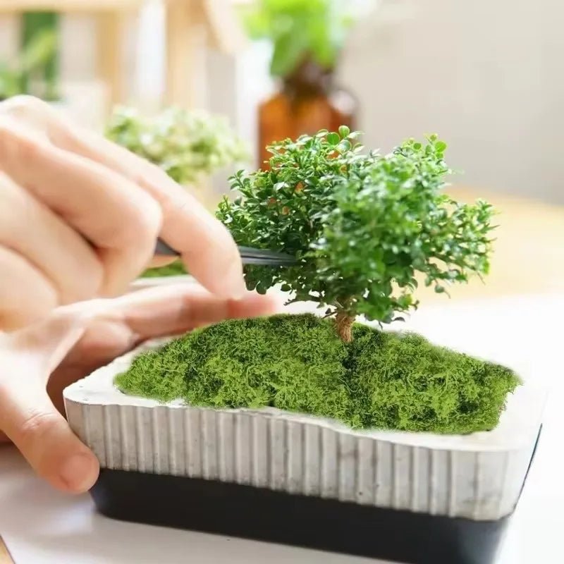 Plantes vertes artificielles 500g - Mousse éternelle décorative - Zone shopping