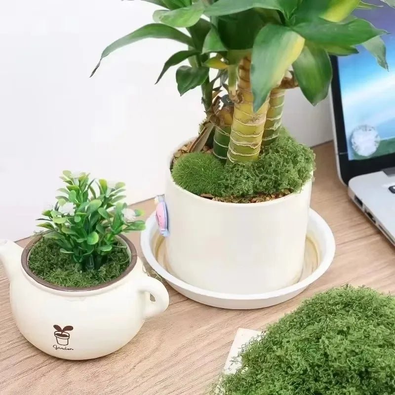 Plantes vertes artificielles 500g - Mousse éternelle décorative - Zone shopping