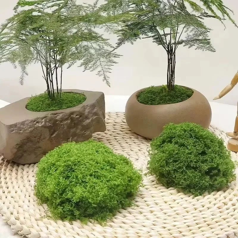 Plantes vertes artificielles 500g - Mousse éternelle décorative - Zone shopping