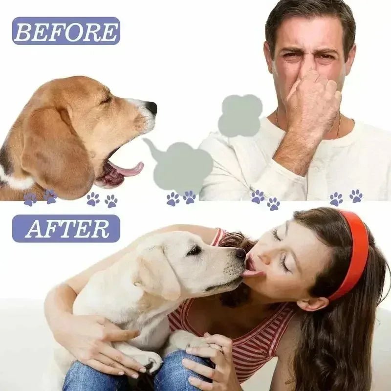 Spray nettoyant buccal 50ml pour chiens et chats, fraîcheur garantie! - Zone shopping