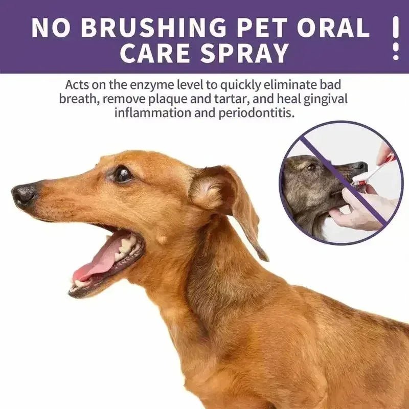 Spray nettoyant buccal 50ml pour chiens et chats, fraîcheur garantie! - Zone shopping