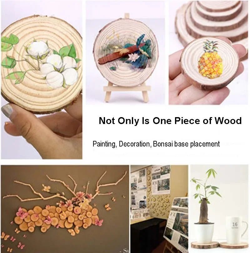 Tranches rondes en bois de pin naturel pour bricolage et déco 1 - 10 pcs - Zone shopping